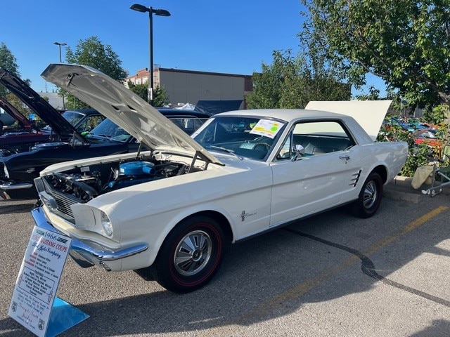 Tracy Jordan, Saskatoon, SK